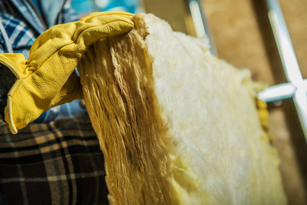 Best Home Insulation Services  in Lake Mohawk, NJ